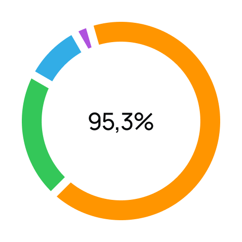 95,3% оригинальности